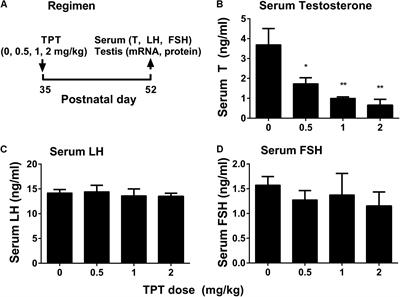 Triphenyltin Chloride Delays Leydig Cell Maturation During Puberty in Rats